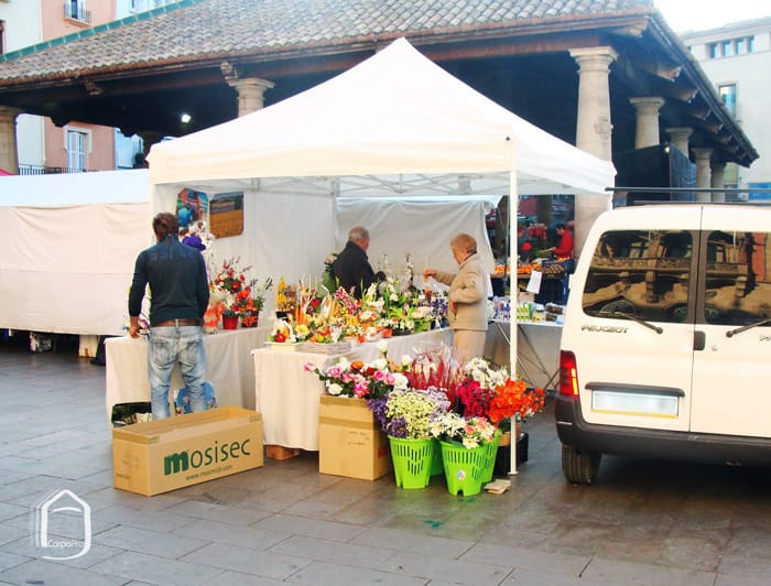 Carpa plegable profesional en mercado